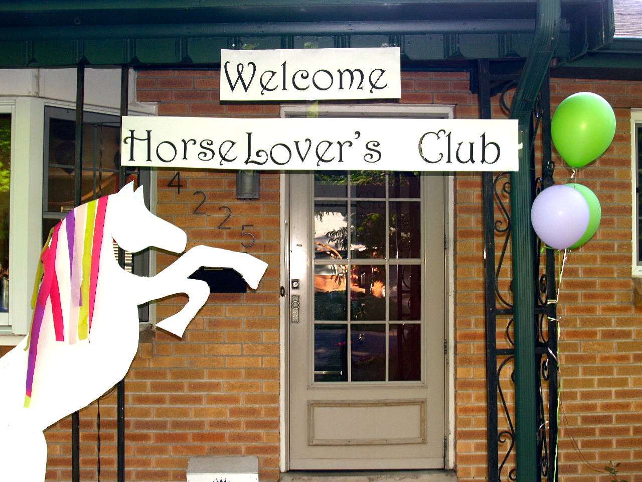 A horse party your little girl will Love!